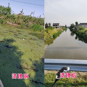 鹽城客戶(hù)鄉鎮河道水草清理效果展示