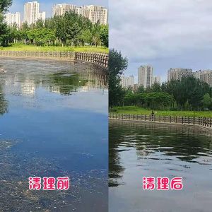 遼陽(yáng)市客戶(hù)太子河水草清理效果展示